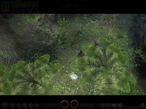 Dungeon Siege 2 220358,6